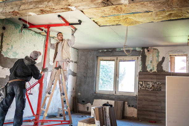 Best Blown-in Insulation in Richardson, TX